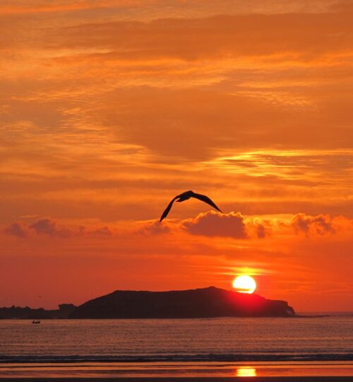 sunset ont the beache